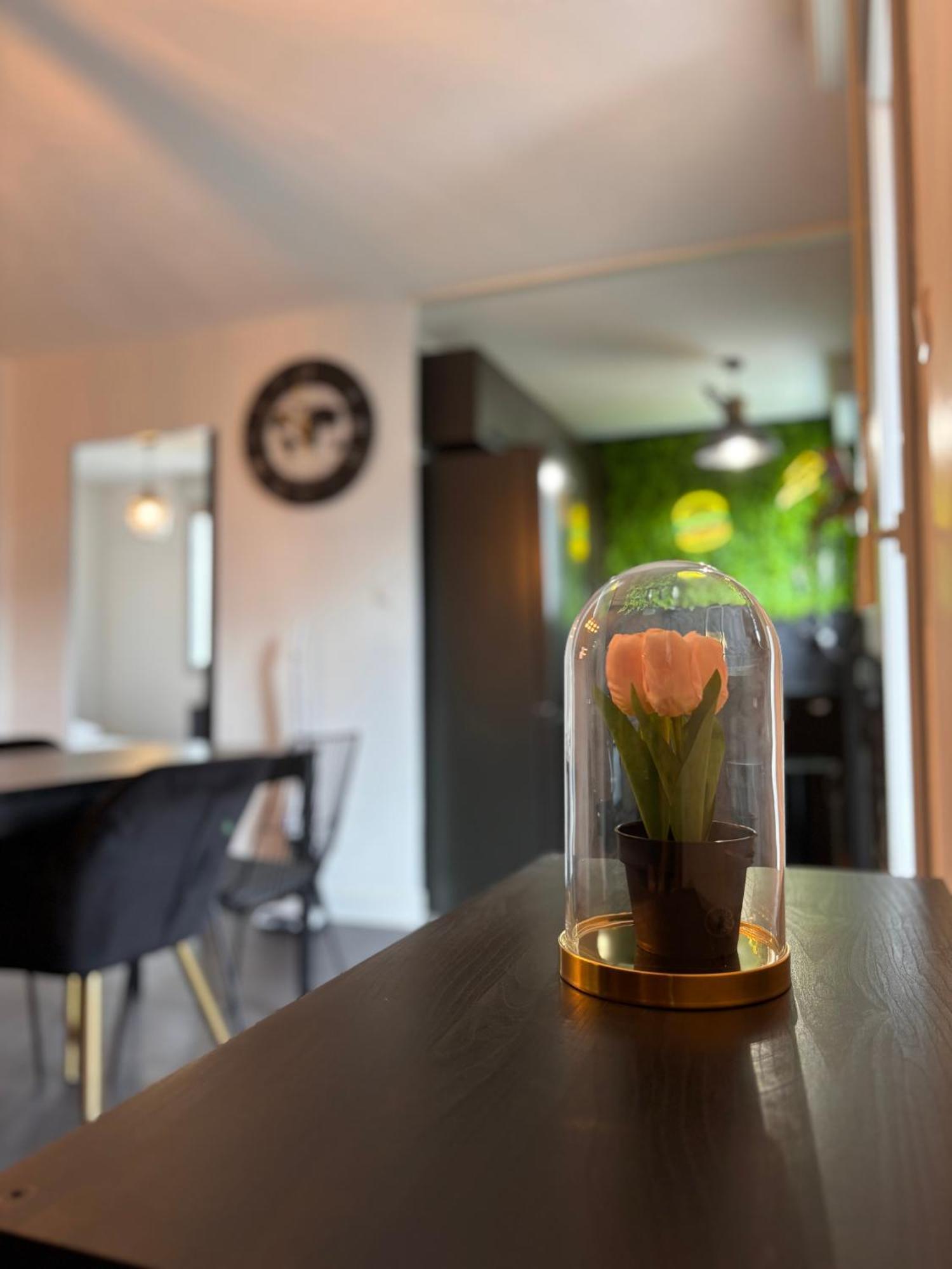 Charmant Appartement Toulouse Exterior foto